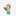 Noor Al_zboon Noor Al_zboon