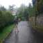 rosanty 