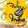 Flavours Of India
