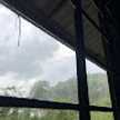 cook_108121906