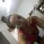 Anin