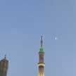 firdous mohamed 