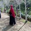 Elvi Harahap