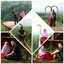 Salamah Ahmad
