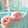 Shima Alibrahim 