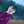 Nour Elhouda