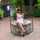 Evelyn MV