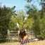 Yesica Falleau