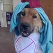 JEREMY YANDEL ALANYA COLLQUI