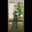 cook_8312596