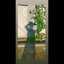 cook_8312596