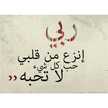 مدى يحي إسماعيل 