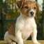 Carina Gatica