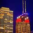 Tom Newark