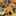 cook_108051268