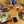 cook_108051268