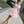 heba 
