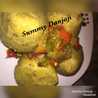 Summy Danjaji