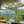 Nita
