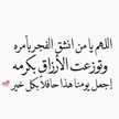 مطبخ أم روقية