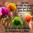 Imelda Rodriguez Murga