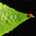 Greenleaf