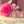 Leen 