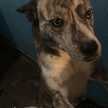 Leonor