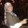 Mona Abdelhady Eltazy