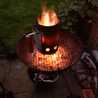 BraaiDude