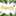 Puquchi SELVA Foods Puquchi SELVA Foods