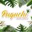 Puquchi SELVA Foods 