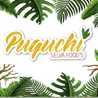 Puquchi SELVA Foods 