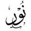 Noor