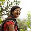 Ambily Suresh