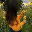 Engy Sleem