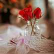 Abir 