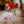 Abir Abir