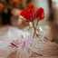 Abir 