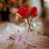 Abir Abir