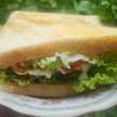 Kang Makan