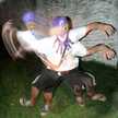 El Pulpo