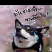 เขี้ยวเงิน