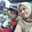 Isti