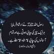 Rabeel Syeda