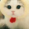 Roz roz🌹🌷 Roz roz🌹🌷