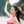 huy le