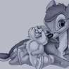 rody