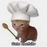 El Gato Chef ☆