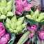 FOR YOU